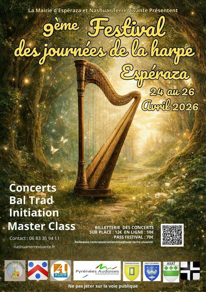 Master class "la harpe chante Irlande AVEC Dimitri Boekhoorn
