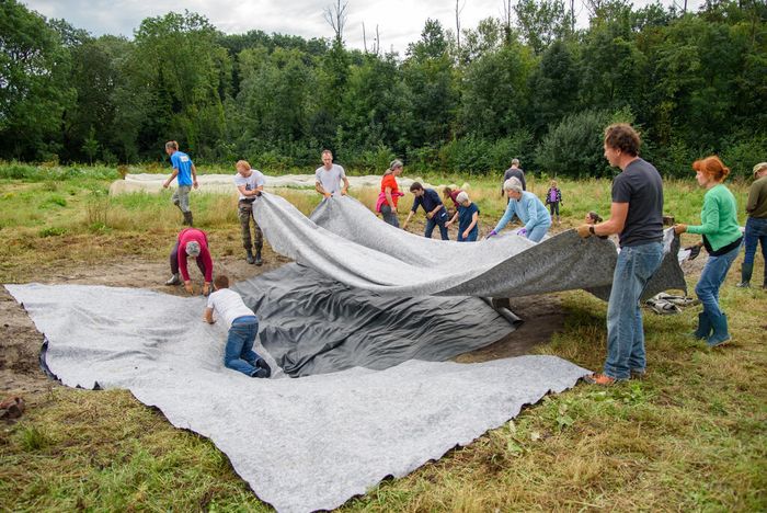 Participez à un chantier mare le samedi 14 novembre, de 9h30 à 16h30, dans le quartier de la Cousinerie, pour restaurer des habitats à la biodiversité aux côtés de l’association Les Blongios.