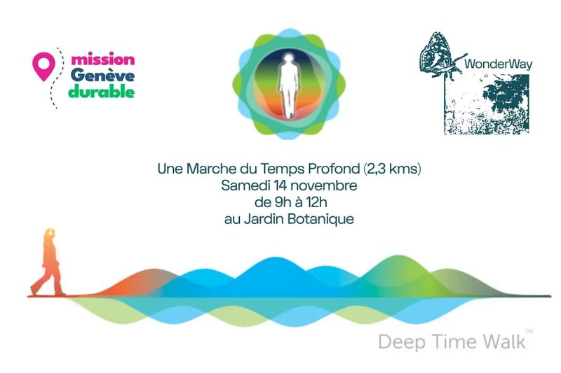 Une expérience immersive en marchant - au Jardin Botanique - qui retrace 4,6 milliards d’années d’histoire de la Terre et sensibilise à notre lien avec la planète.