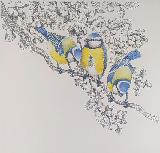 Rencontre et atelier avec Christine Flament, illustratrice et autrice // Bibliothèque des Eaux-Vives // samedi 28 novembre 2026 // de 10h30 à 12h30  // tout public dès 8 ans